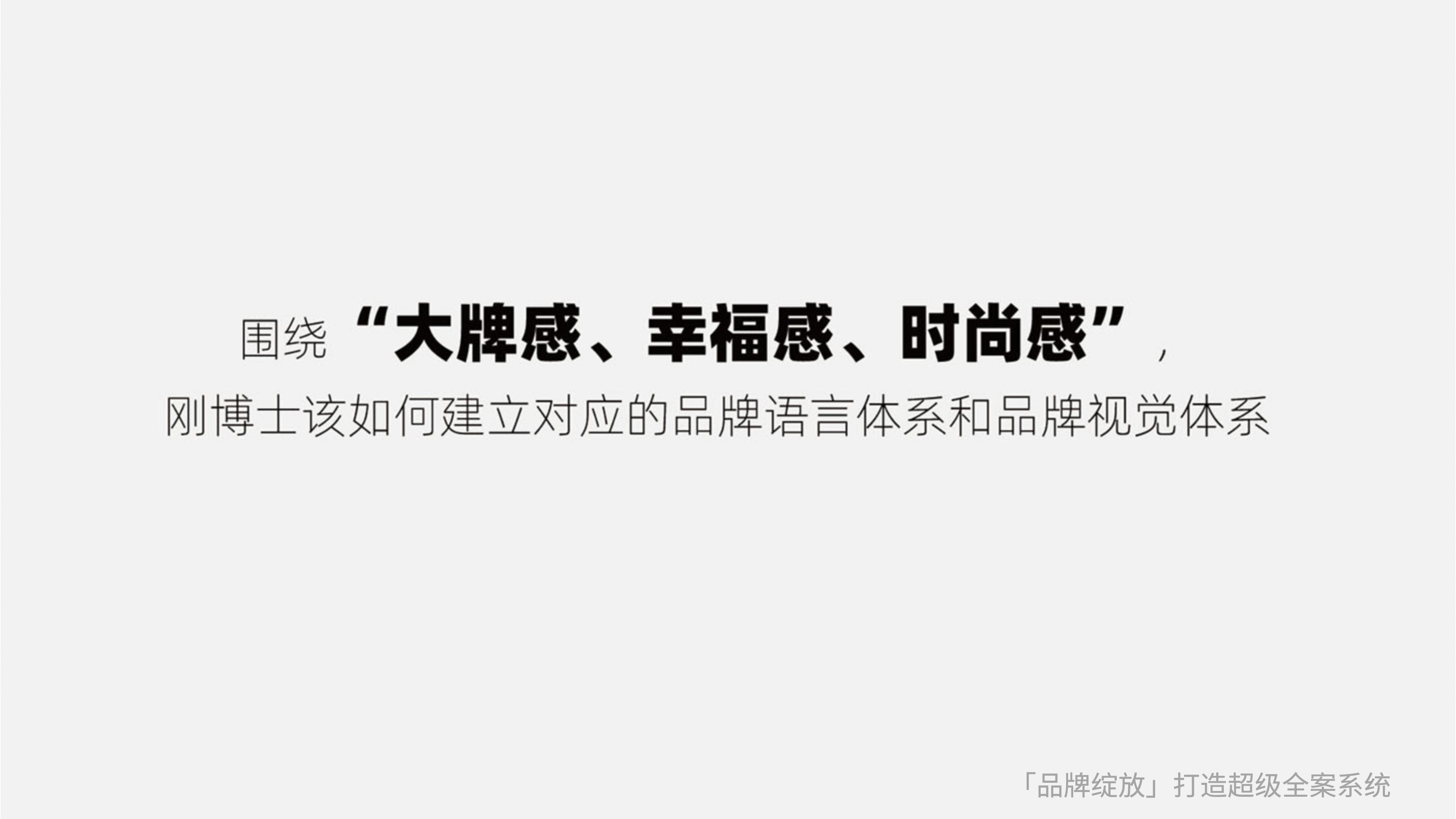 剛博士品牌全案策略